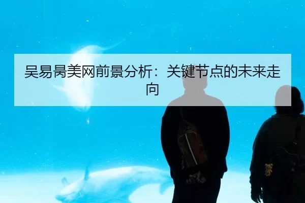 吴易昺美网前景分析：关键节点的未来走向（anbo sport）